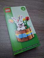 LEGO 40587 Paasmandje - Limited Edition, Ophalen of Verzenden, Nieuw, Complete set, Lego