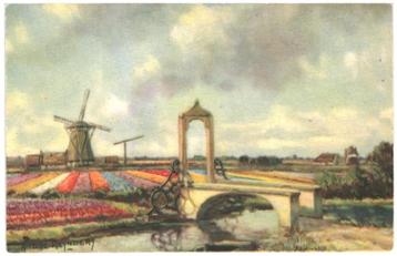 962297	Bloembollenvelden	Bollenvelden	ILL André Reynders	Onb beschikbaar voor biedingen
