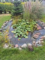 Vijver met vissen, waterplanten en waterlotus, Tuin en Terras, Vijvers, Ophalen of Verzenden, Gebruikt