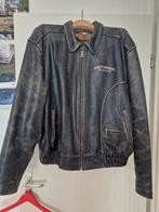 Harley davidson lederen motorjas 3xl, Dames, Jas | leer, Harley Davidson, Ophalen of Verzenden