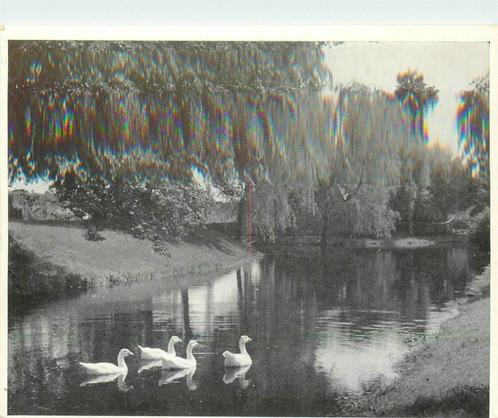 (387-268-043) Lochem Stadsgracht Westerwal, Verzamelen, Ansichtkaarten | Nederland, Gelderland, Verzenden