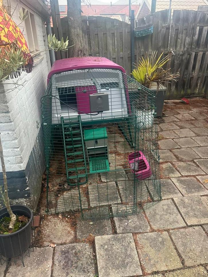 Omlet Eglu Cube met nieuwe accessoires!, Dieren en Toebehoren, Pluimvee | Toebehoren, Zo goed als nieuw, Kippenhok of Kippenren