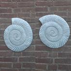 2 schelpen wanddecoraties betonnen beelden tuinbeelden beton, Nieuw, Ophalen