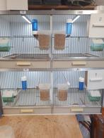 Gehu broedkooi, Dieren en Toebehoren, Vogels | Hokken en Kooien, Ophalen, Hout, Broedkooi of Kweekkooi