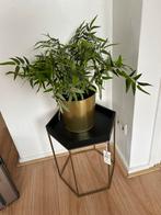 Bijzettafel Hexagon, Goud en zwart evt. Met kunstplant, Ophalen