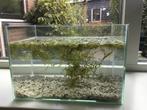 Volglas aquarium 30-20-20 cm met filterpompje., Dieren en Toebehoren, Ophalen of Verzenden, Nieuw, Leeg aquarium