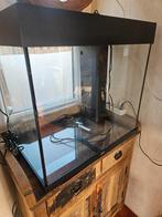 Juwel lido 120, Dieren en Toebehoren, Ophalen, Leeg aquarium