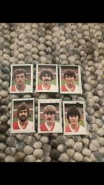 Feyenoord panini vanderhout 1980-1981, Ophalen of Verzenden, Gebruikt