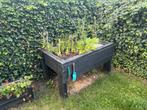 Kweektafel / kweektafel, Tuin en Terras, Gebruikt, 100 cm of meer, Ophalen of Verzenden, Rechthoekig