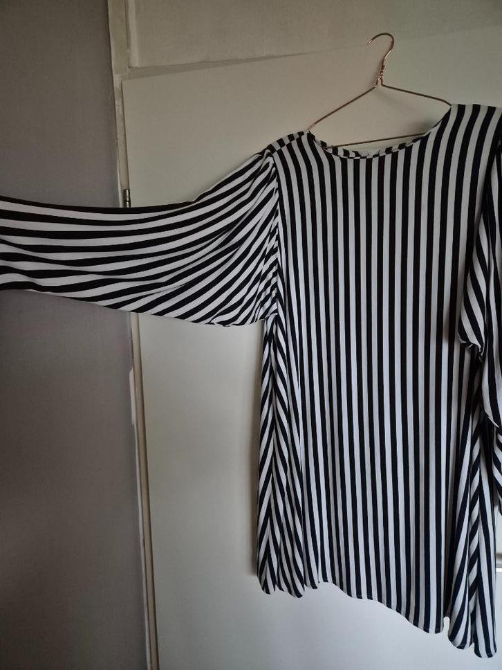 Vlindermouw tuniek Jan N June 48/50, Kleding | Dames, Grote Maten, Zo goed als nieuw, Blouse of Tuniek, Overige kleuren, Ophalen of Verzenden