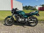 Kawasaki ER-5 - Opknapper / mooie beginnersmotor, Chopper, Meer dan 35 kW, 498 cc