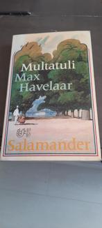 Max Havelaar van Multatuli, Ophalen of Verzenden, Gelezen, Multatuli