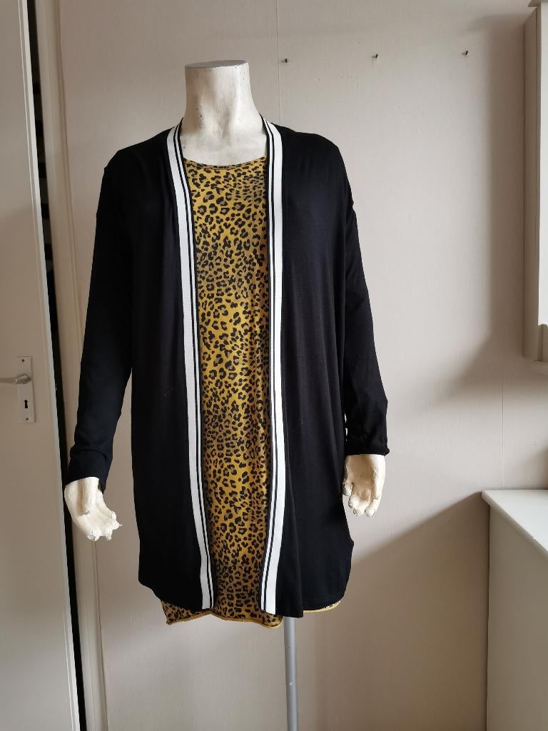 61 .. zgan vest maat xl, Ophalen of Verzenden, Zo goed als nieuw, Overige kleuren, Trui of Vest