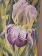 Mooi Schilderij op doek iris of lis ongesigneerd, Ophalen