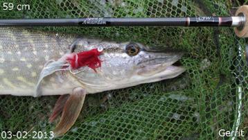 snoekstreamers met enkele (Tiger Barred) Magnum zonkerstaart beschikbaar voor biedingen