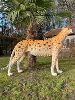 Beeld cheetah, woonkamer, tuin, zwembad, vijver 170cm, Ophalen, Nieuw, Kunststof, Dierenbeeld