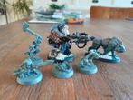 Whu: Hrothgorn'S Mantrappers aos, Hobby en Vrije tijd, Wargaming, Ophalen of Verzenden, Gebruikt, Warhammer, Figuurtje(s)