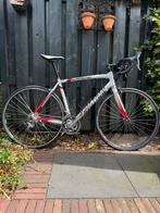 Specialized Allez racefiets 56, Fietsen en Brommers, Fietsen | Racefietsen, Overige merken, Gebruikt, Heren, Aluminium