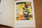 August Macke Aquarelle, Ophalen of Verzenden, Gelezen, Schilder- en Tekenkunst