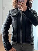 Leuk, stoer, leren jack van Botticelli., Botticelli, Zwart, Nieuw, Ophalen of Verzenden