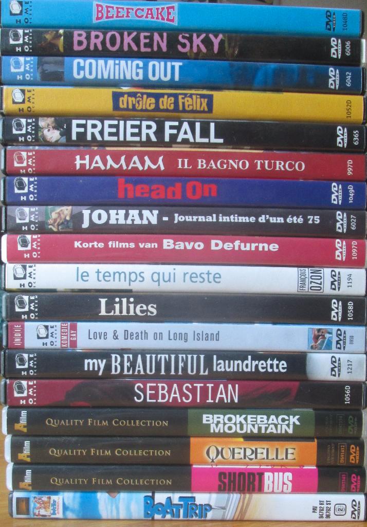 18 Gay DVD's (Geen porno !!!), Cd's en Dvd's, Dvd's | Overige Dvd's, Zo goed als nieuw, Vanaf 16 jaar, Ophalen