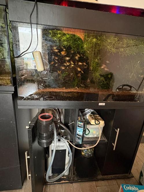 Jewel aquarium 140L, Dieren en Toebehoren, Vissen | Aquaria en Toebehoren, Gebruikt, Gevuld zoetwateraquarium, Ophalen