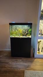 Aquatlantis splendid 80ultra met jbl902e pomp, Ophalen, Zo goed als nieuw, Gevuld zoetwateraquarium