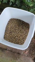 GRATIS konijnenvoer, Ophalen