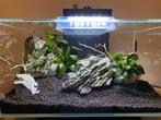 Fluval Edge 2.0 aquarium, Ophalen, Gebruikt, Leeg aquarium