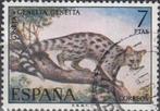 Spanje-SP1.9- 1972 - Genetkat, Postzegels en Munten, Postzegels | Europa | Spanje, Verzenden, Gestempeld