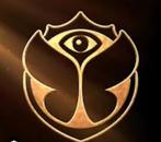 Gezocht: 2 zondag tickets Tomorrowland W2, Tickets en Kaartjes, Twee personen
