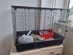 Rattenkooi hamsterkooi, Ophalen, Kooi, Gebruikt, 60 tot 90 cm