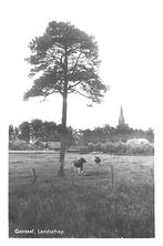 962019	Gorssel	Gld	Nette oude kaart	Onbeschreven