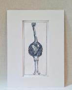 Ets struisvogel met passe partout 30x40 cm, Minder dan 50 cm, Oorspronkelijke maker, Nieuw, Ophalen of Verzenden