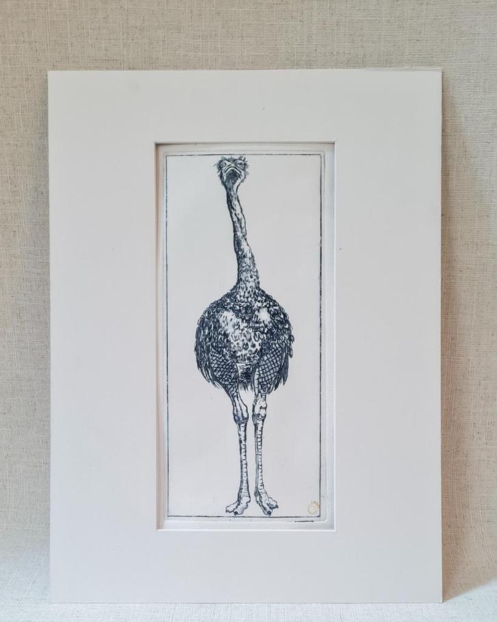 Ets struisvogel met passe partout 30x40 cm, Huis en Inrichting, Woonaccessoires | Schilderijen, Tekeningen en Foto's, Nieuw, Print