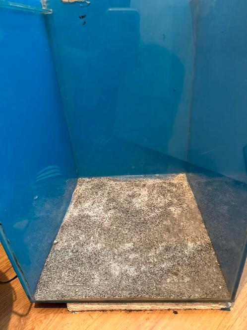 Discus kweekbak  60x40x40, Dieren en Toebehoren, Vissen | Aquaria en Toebehoren, Ophalen