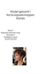 Modellen gezocht!!, Eén persoon