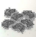 Glaskralen hazewindhonden/whippet/greyhound.nieuw., Ophalen of Verzenden, Nieuw