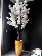 Pot met bloesemboom 200cm, Ophalen of Verzenden, Zo goed als nieuw