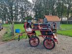 Mooie marathonwagen met tuig en zadel., Dieren en Toebehoren, Zo goed als nieuw, Marathonwagen, Paard