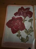 borduurpatroon 16, Hobby en Vrije tijd, Borduren en Borduurmachines, Ophalen, Zo goed als nieuw, Handborduren, Patroon