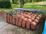 Zwarte “glazuurde / verglaasde” verbeterd Romeinse dakpannen, Doe-het-zelf en Verbouw, Dakpannen en Dakbedekking, Ophalen, Gebruikt