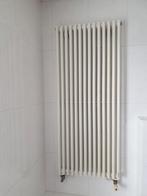 Thermic design radiator, Doe-het-zelf en Verbouw, Verwarming en Radiatoren, Gebruikt, Ophalen of Verzenden, 80 cm of meer, Radiator