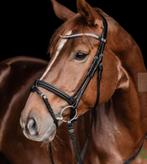 NIEUW Lederen Waldhausen paarden hoofdstel, Dieren en Toebehoren, Paarden en Pony's | Hoofdstellen en Tuigage, Ophalen of Verzenden