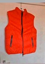 Nieuwe bodywarmer maat XL. Okselmaat 54 cm. Unisex, Kleding | Dames, Bodywarmers, Ophalen of Verzenden, Nieuw, Maat 46/48 (XL) of groter