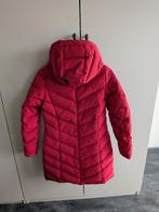 Winterjas Cavallaro Napoli, Ophalen, Cavallaro, Zo goed als nieuw, Maat 34 (XS) of kleiner