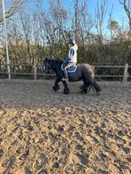 9-jarige pony te koop – 1.30 m – afwachtend karakter, Merrie, Zadelmak, C pony (1.27m tot 1.37m), Recreatiepony