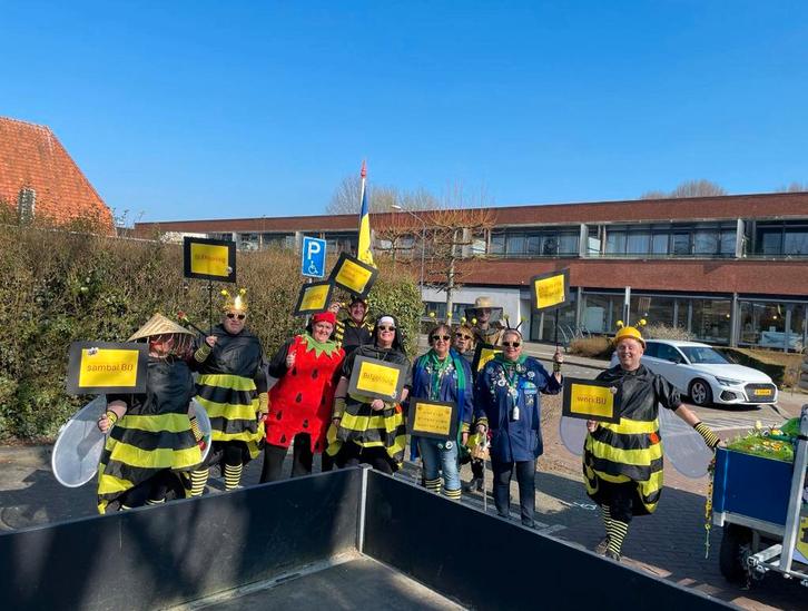 Loopgroep carnaval bijenpakken, Kleding | Heren, Carnavalskleding en Feestkleding, Gedragen, Ophalen