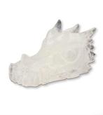 Grote drakenschedel 8cm lengte, bergkristal, Ophalen of Verzenden, Mineraal