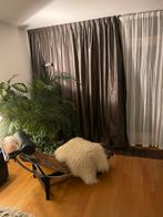 Gordijnen glanzend,  dubbele plooi,  gevoerd, anthraciet, Huis en Inrichting, Ophalen, 200 cm of meer, Stijlvol, Zo goed als nieuw